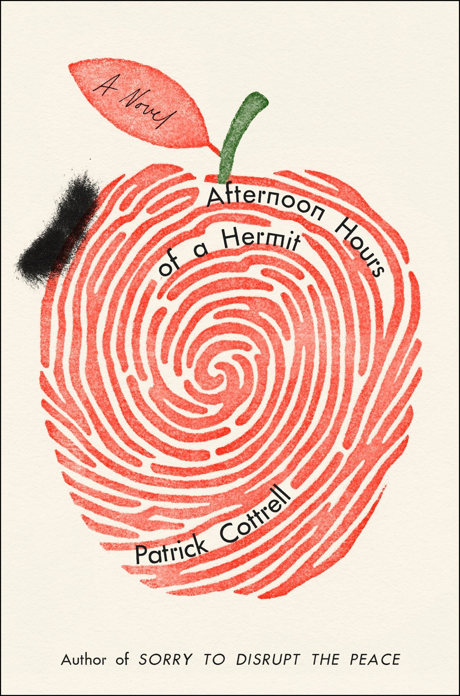 Afternoon Hours of a Hermit - Book