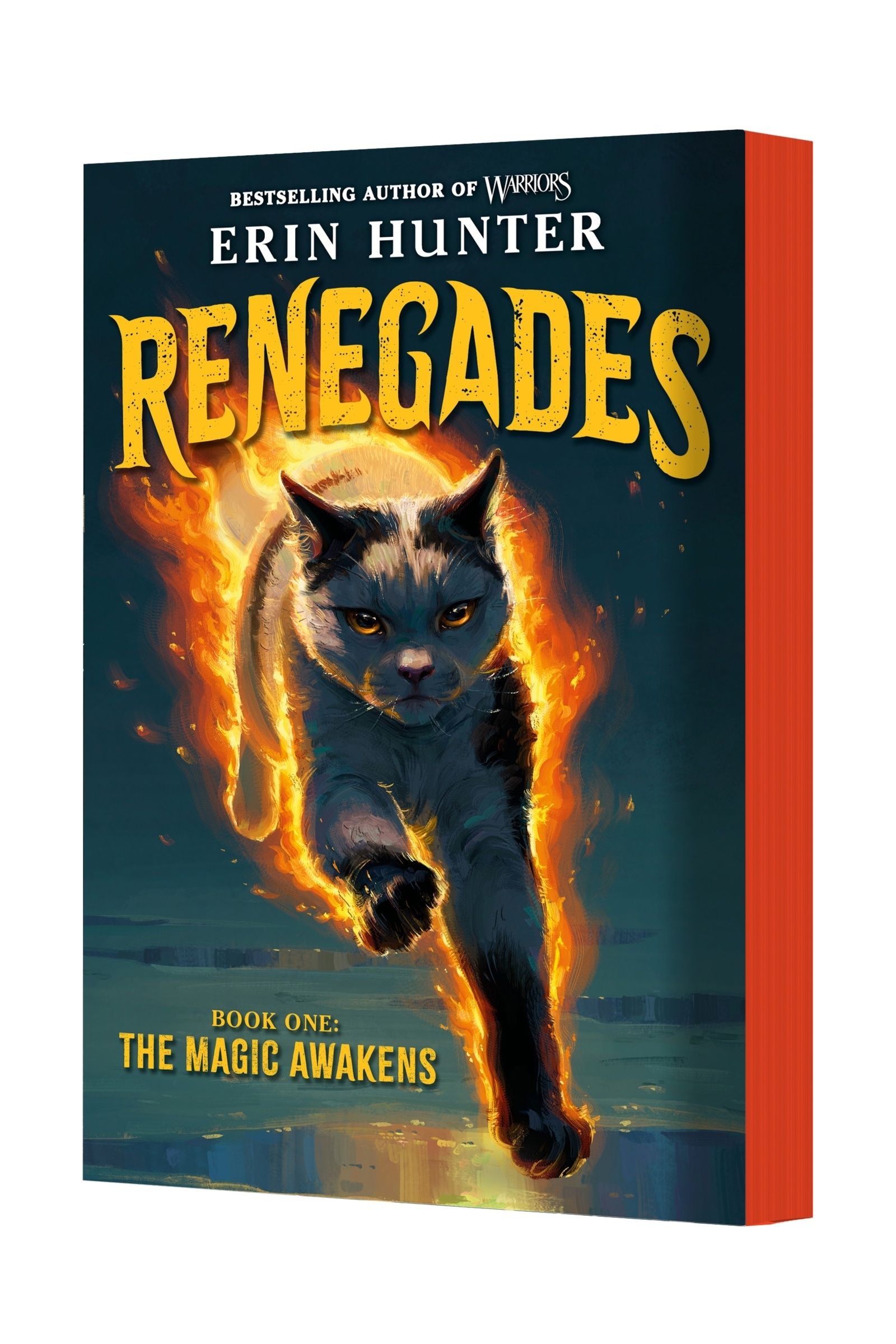 Renegades #1: The Magic Awakens