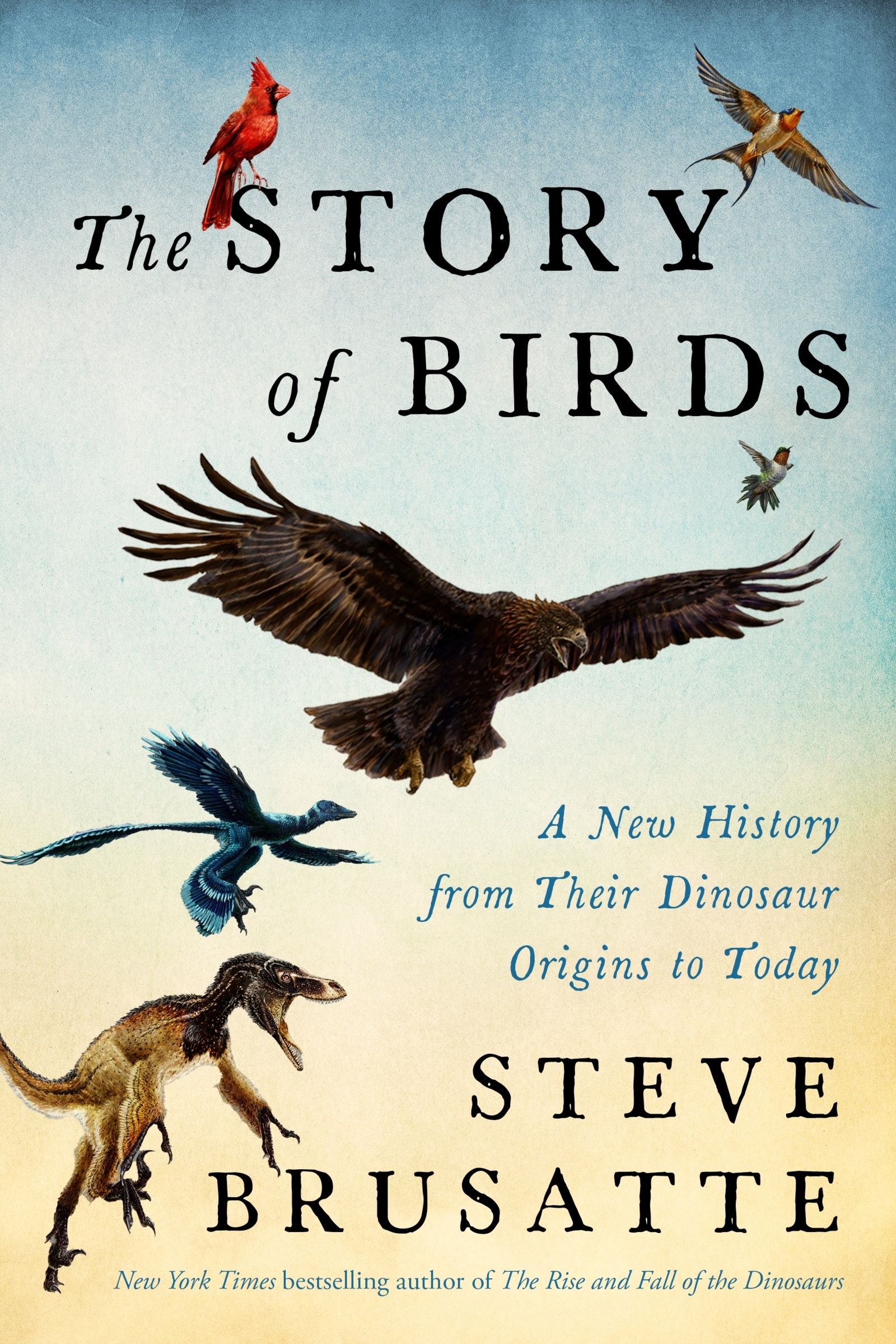 The Story of Birds Book Cover