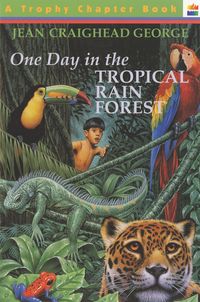 one-day-in-the-tropical-rain-forest