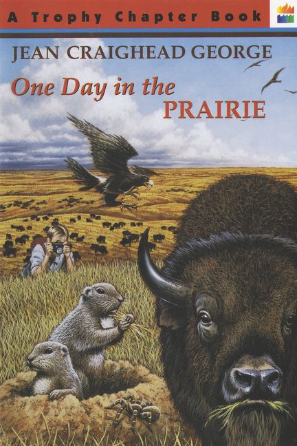 One Day in the Series by Jean Craighead George