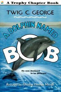 a-dolphin-named-bob