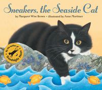 sneakers-the-seaside-cat
