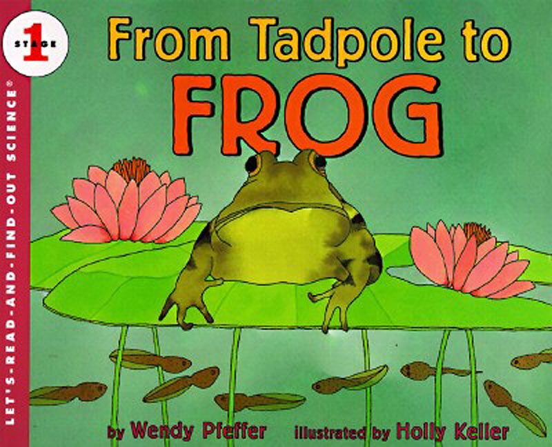 From Tadpole to Frog Book Cover
