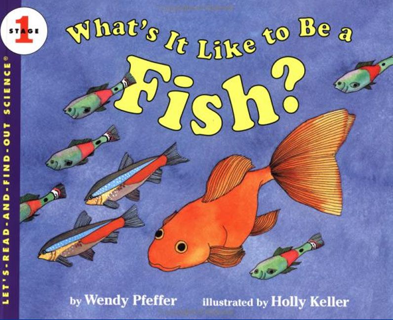 What's It Like to Be a Fish? Book Cover