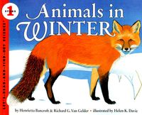animals-in-winter