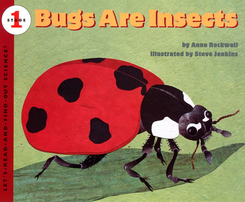 Bugs Are Insects Book Cover
