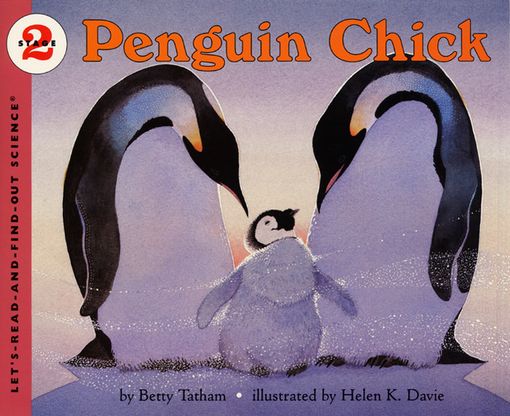 Penguin Chick Betty Tatham Paperback