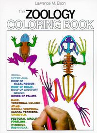 zoology-coloring-book