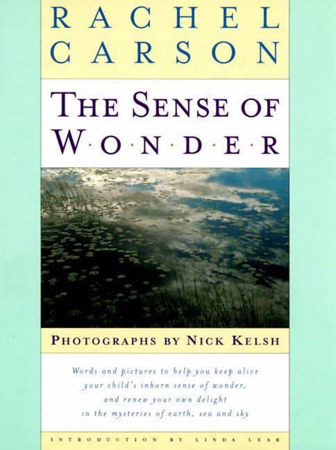 The Sense of Wonder Book Cover