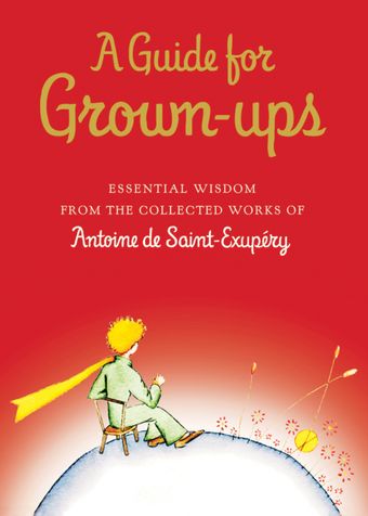 A Guide for Grown-Ups (9780152167110)