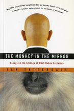 The Monkey In The Mirror