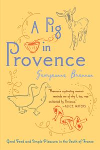 a-pig-in-provence