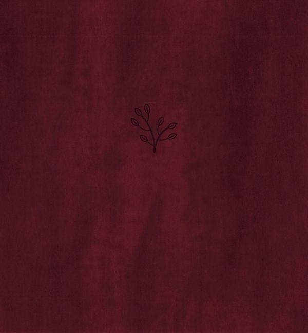 Amplified Holy Bible, XL Edition, Leathersoft, Burgundy, Religion, Hardback,