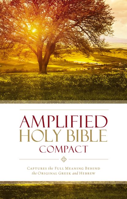 Amplified Holy Bible, Compact, Hardcover, Hardback, Zondervan Zondervan