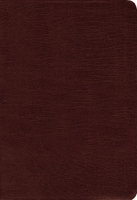 Amplified Holy Bible, Large Print, Bonded Leather, Burgundy, Leatherbound Hardback, Zondervan Zondervan