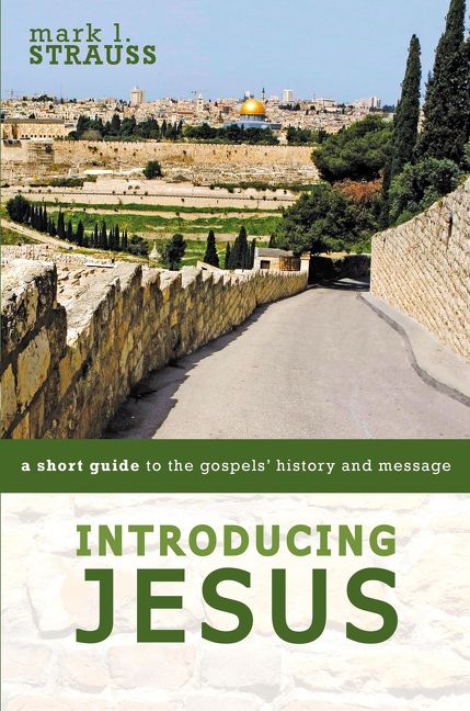 Introducing Jesus, Religion, Paperback, Mark Strauss