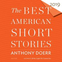 the-best-american-short-stories-2019