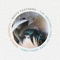 white-feathers