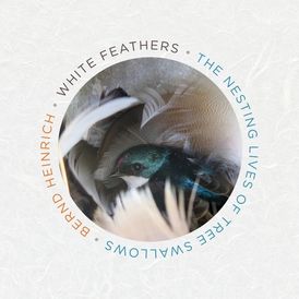 White Feathers