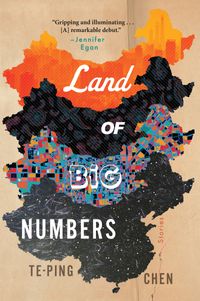 land-of-big-numbers
