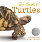 The Book of Turtles Hardcover  by Sy Montgomery