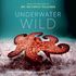The Underwater Wild