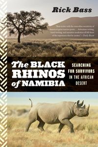 the-black-rhinos-of-namibia