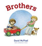 Brothers Board book  by David McPhail