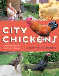 city-chickens