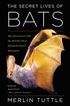 The Secret Lives Of Bats