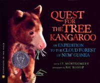 the-quest-for-the-tree-kangaroo