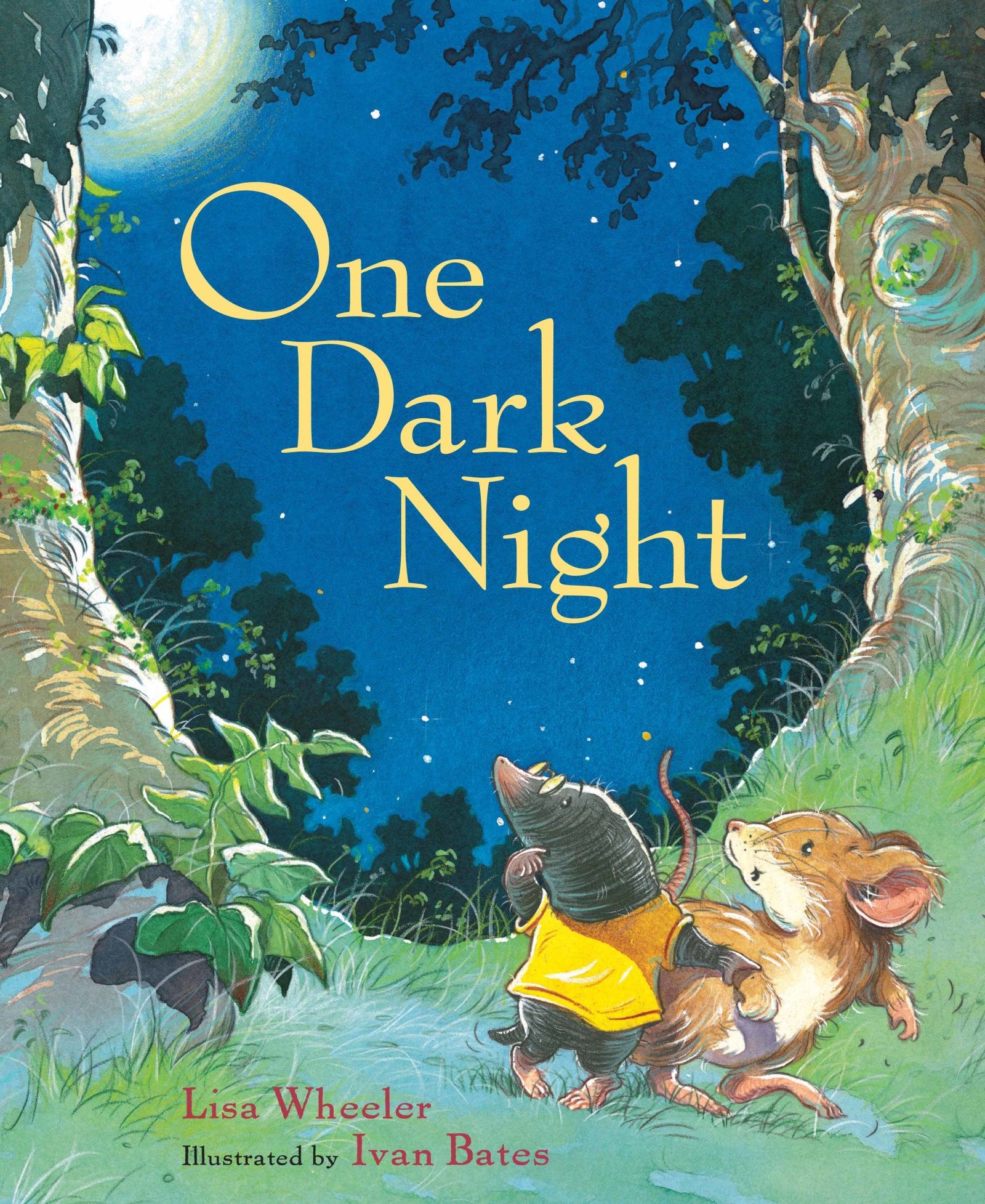 One Dark Night Book Cover