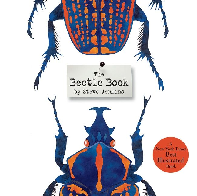 The Beetle Book, Hardback, Steve Jenkins - Image 5