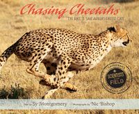 chasing-cheetahs