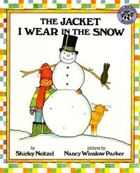 the-jacket-i-wear-in-the-snow