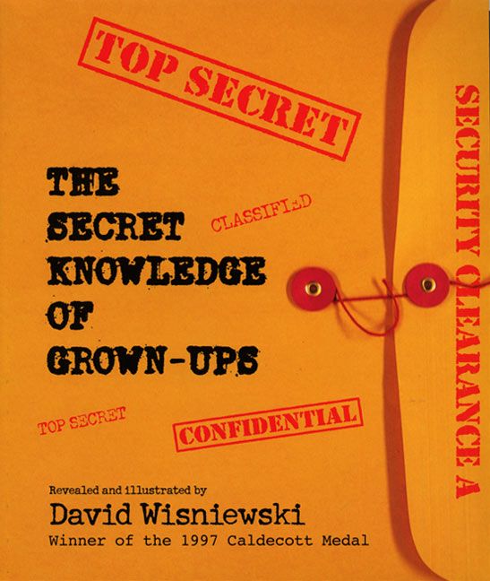 The Secret Knowledge of Grown-ups Book Cover