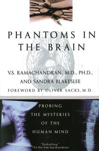 phantoms-in-the-brain