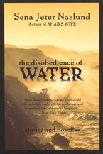 The Disobedience of Water Paperback  by Sena Jeter Naslund