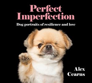perfect-imperfection-dog-portraits-of-resilience-and-love