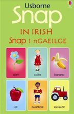 Snap In Irish Paperback  by Jo Litchfield