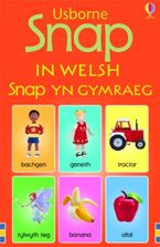 Snap In Welsh Paperback  by Jo Litchfield