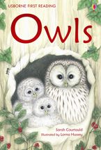 Owls Hardcover  by Sarah Courtauld