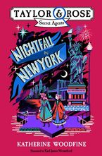 Nightfall in New York eBook  by Katherine Woodfine