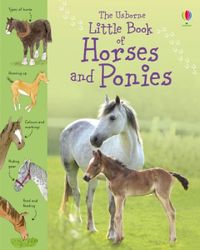 little-book-of-horses-and-ponies