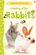 Looking After Rabbits (Usborne Pet Guides) Paperback  by Fiona Patchett