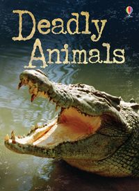 deadly-animalsbeginners-plus