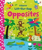 Lift-The-flap Opposites Hardcover  by Felicity Brooks