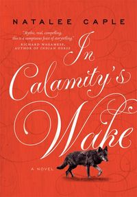 in-calamitys-wake