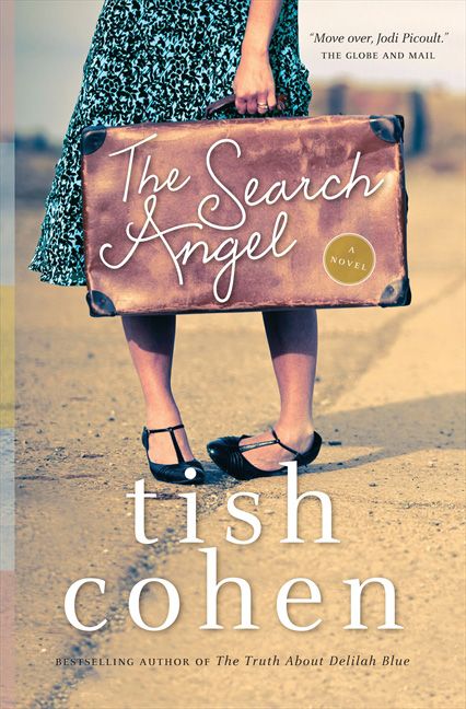 The Search Angel Book Cover